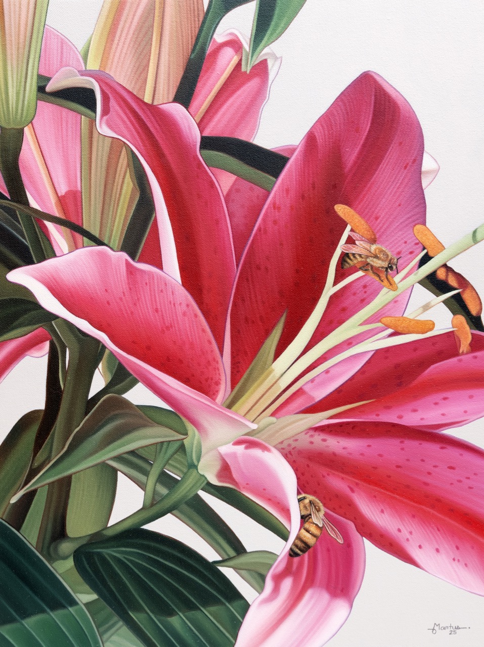 Curiosity Turns to Experience