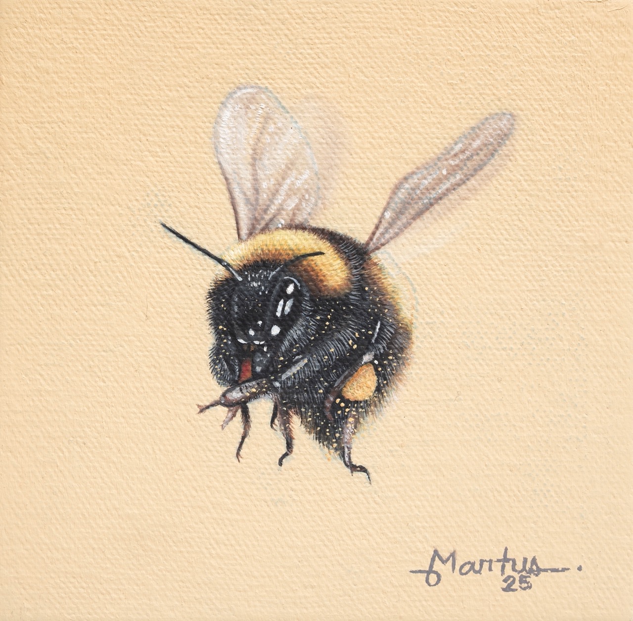 Curiosity Turns to Experience