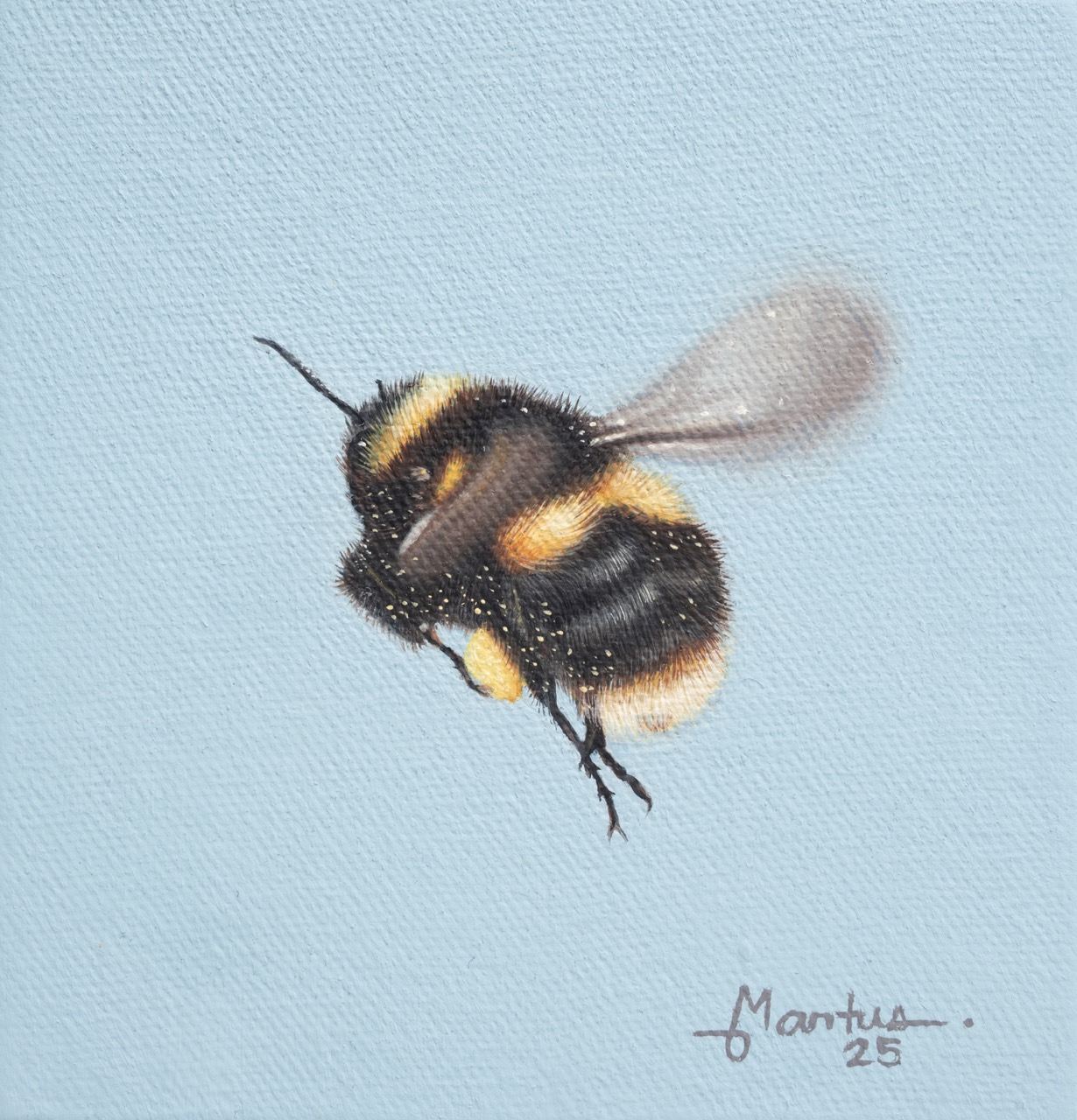 Curiosity Turns to Experience