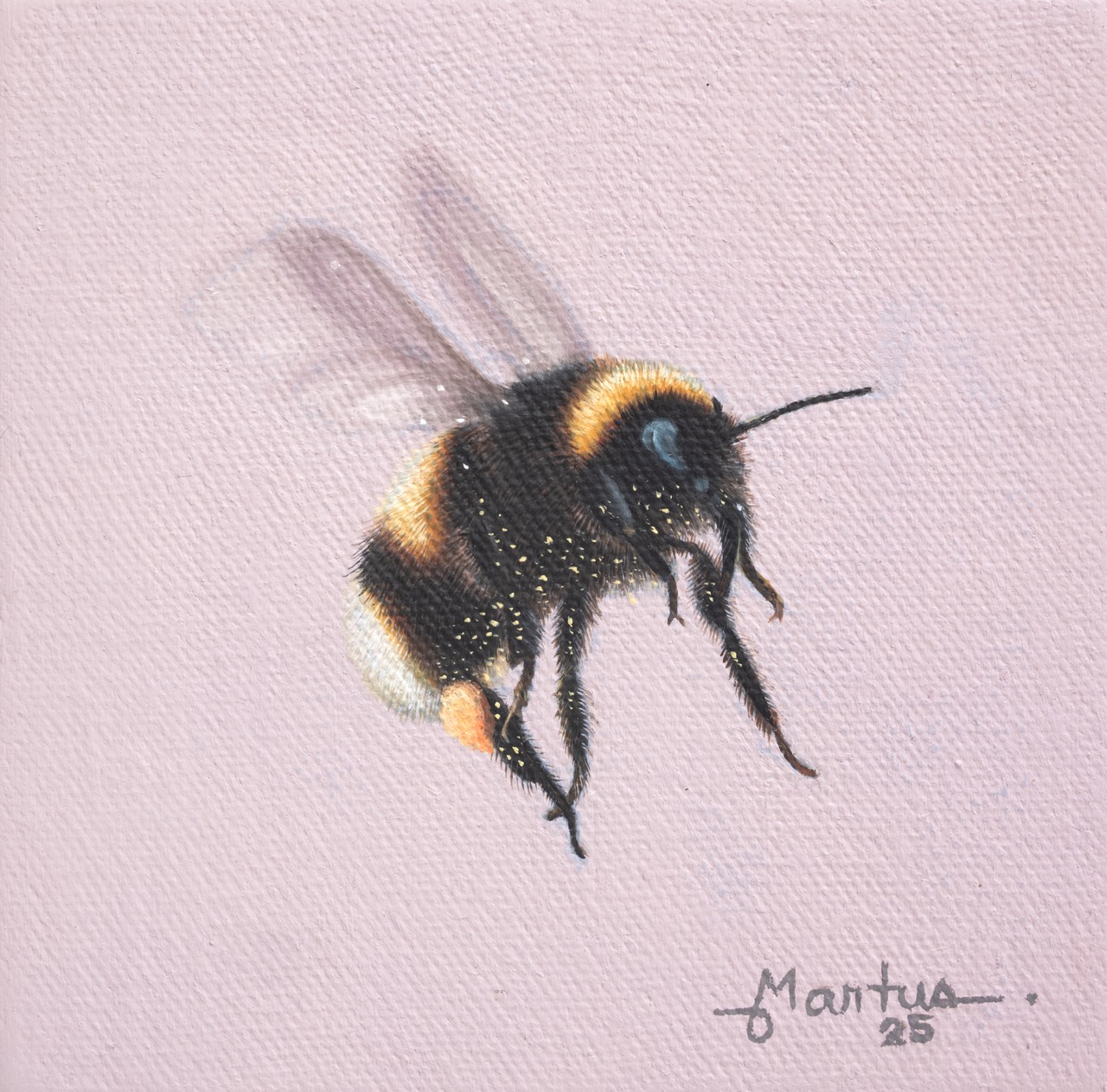 Curiosity Turns to Experience