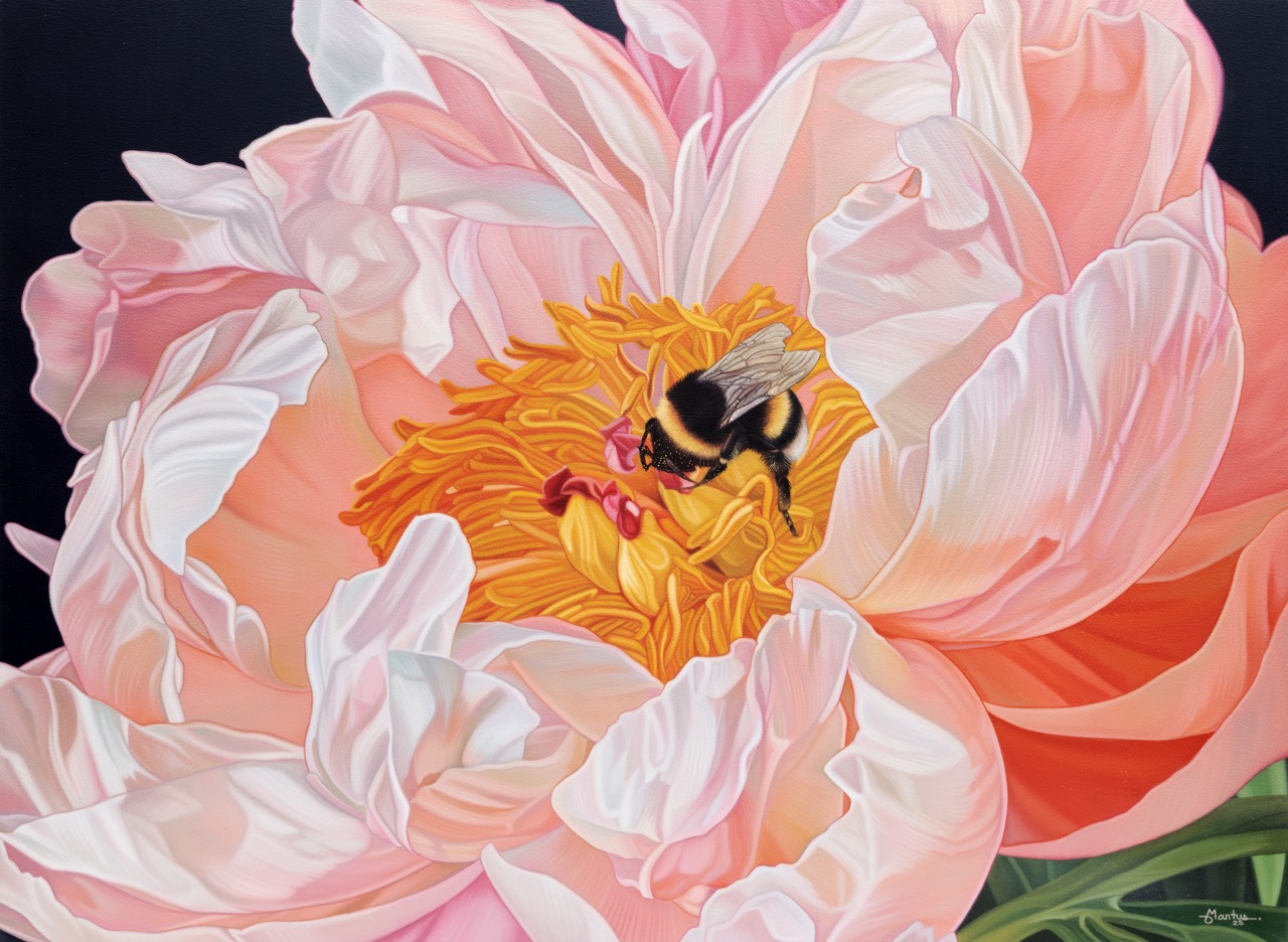 Curiosity Turns to Experience