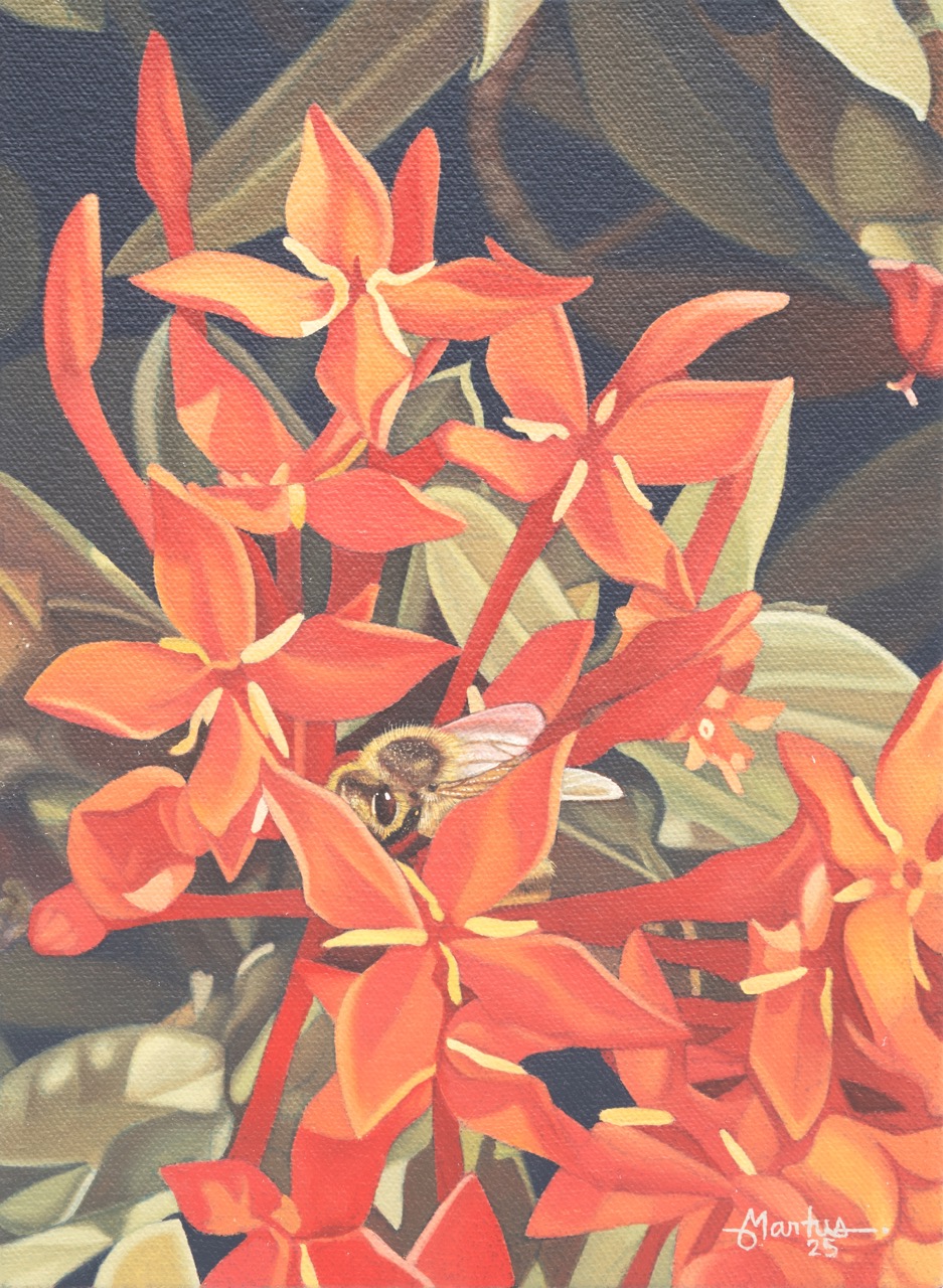 Curiosity Turns to Experience