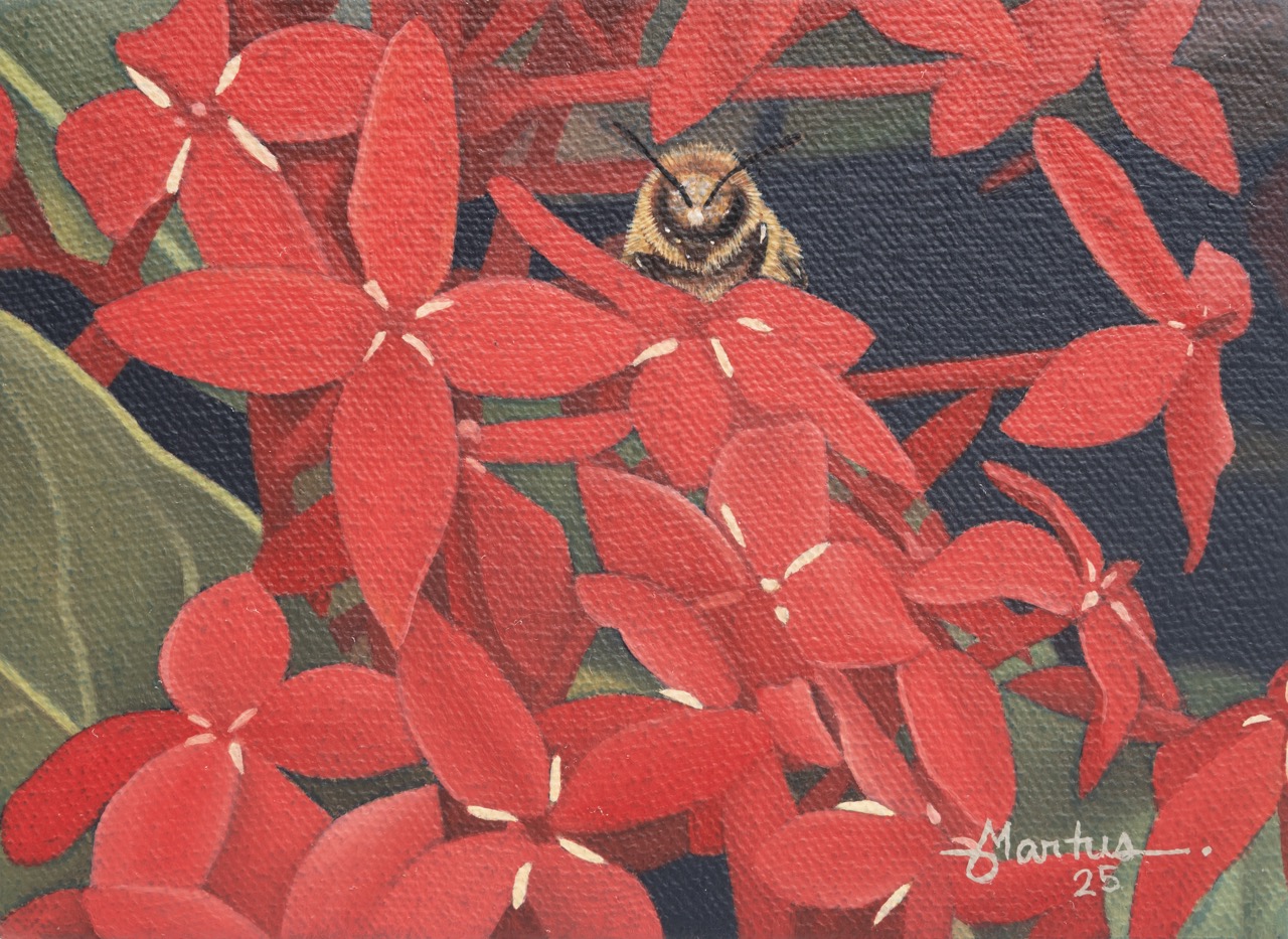 Curiosity Turns to Experience